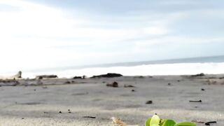 Looking for inspiration on the beach accompanied by beautiful waves