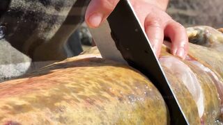 I Caught A Huge Fish and Cooked It in a Big Tandoor! Fish Day in the Village 3