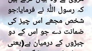 Zuban ki hifazat