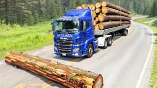 Cars vs Impossible Challenge: Fallen Logs, Giant Pit, Deep Water ????BeamNG Drive