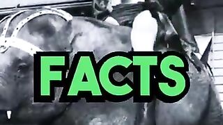 Weird and Bizarre History Facts #shorts #history.