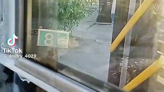 Троллейбус
