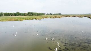 I built the GAZEBO of my Dreams! Traditional Ukrainian BORSCHT with Soft Bread from the oven 2