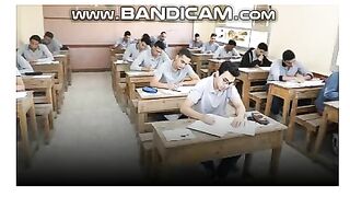 نتيجة الدبلومات الفنية 2024.. أعداد الراسبين في امتحانات الدور الأول