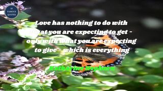 famous quotes about love | Part 422