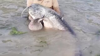 Terrifying fishhttps://www.febspot.com/ref/773612