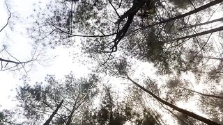 Pine trees in West Lampung are one of the destinations frequently visited by tourists