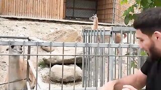 Funny video #  funny # ????????????????????