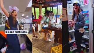 Scare Cam Pranks Funny Videos