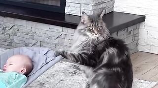 loyal friend cat