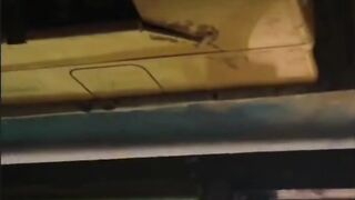 Pakistani telant 2