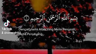 القرآن الكريم 49