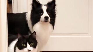 Why apa kah mereka berteman dengan baik