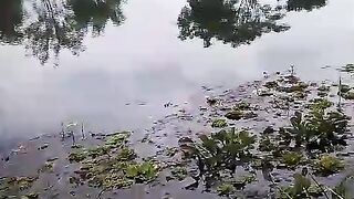 natural lake in indonesia