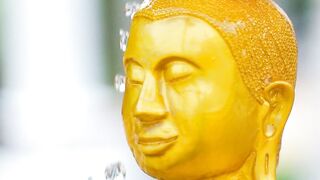 How to Experience True Freedom?