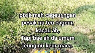 kata kata lucu