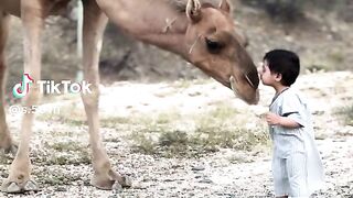 شعور 2