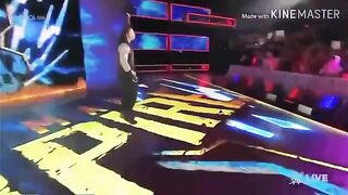 Roman fight