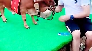 shortsvideo_#alhamdulillah_#mashallah(480p).