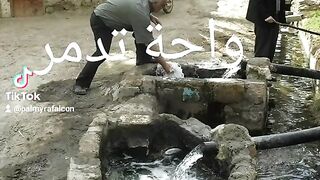 مياه واحة تدمر