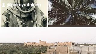Palmyra 10