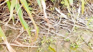 Natural Beauty (Bandarban, Bangladesh)