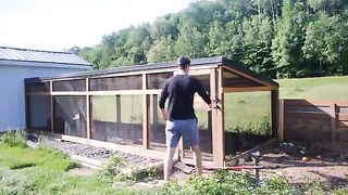 From City Life to Self-Sufficiency A Homestead Tour