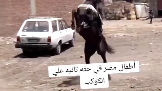 شاهد طفل مصري وهوة يركب الحصان