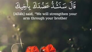 سنشدّ عضدك بأخيك#سكينة