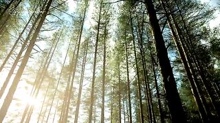Siberia - سیبری