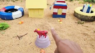 Colurful hen baby/hen chiks/beautiful lovely hen baby 2