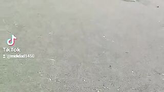 مراوغة لم تنجح