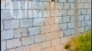 ہمت کبھی بھی نہیں ہارنا