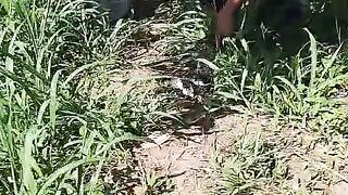 rainy season and rivers start to flood
