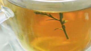 Do You Know Herbal Teas?