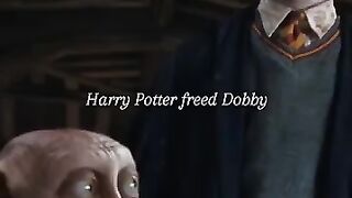 Dobby breaks his promise! #harrypotter #dobby #movie.