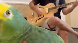 Singing with bird