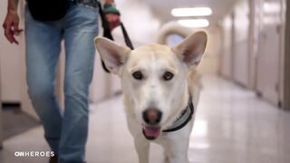 She found a way to keep kids out of the justice system by using shelter dogs
