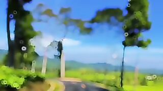 The road to the top is very beautiful and feels cool