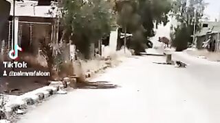 جامع السوق 2