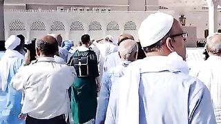 Gumbad_e_Khizra___Madinah_Shareef_#shortsfeed_#yt_#ytshorts_#shorts_#madina