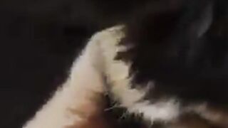 001.