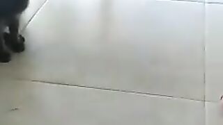 O GATINHO RONALDO A JOGAR A BOLA.