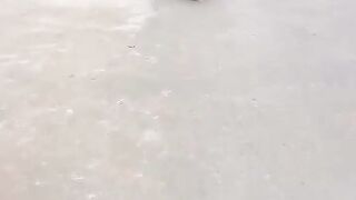 Funny video, ???? Funny ????????