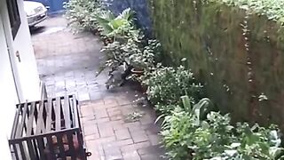 What a lucky man 2