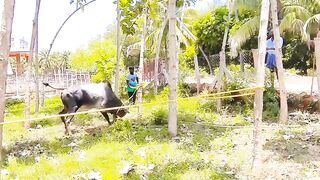ഇപ്പ കിട്ടിയേനെ പണി