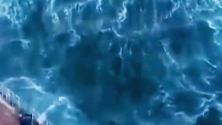 Sea monster 2
