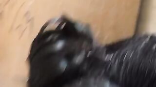 Black bantam
