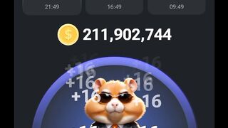 13 July Daily Chiper| Hamster Kombat Daily Chiper Today #foryou