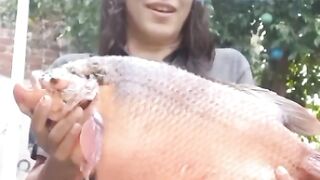 Arti Mimpi Makan Ikan Gurame